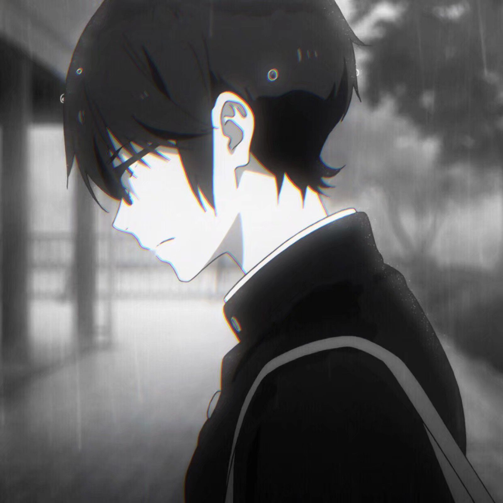 佳丽网络引导页